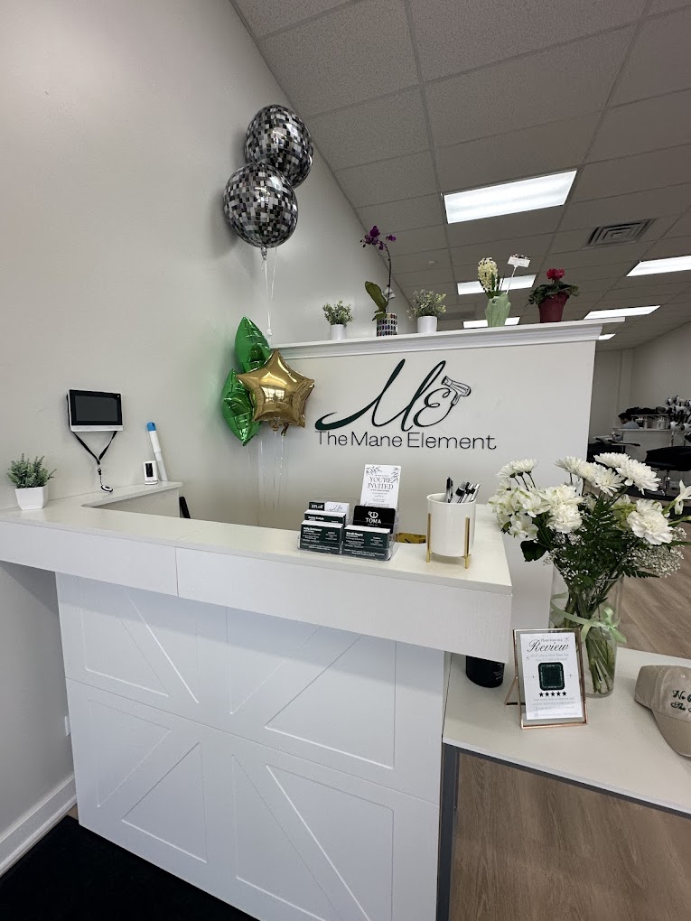Luxury Balayage at The Mane Element Salon